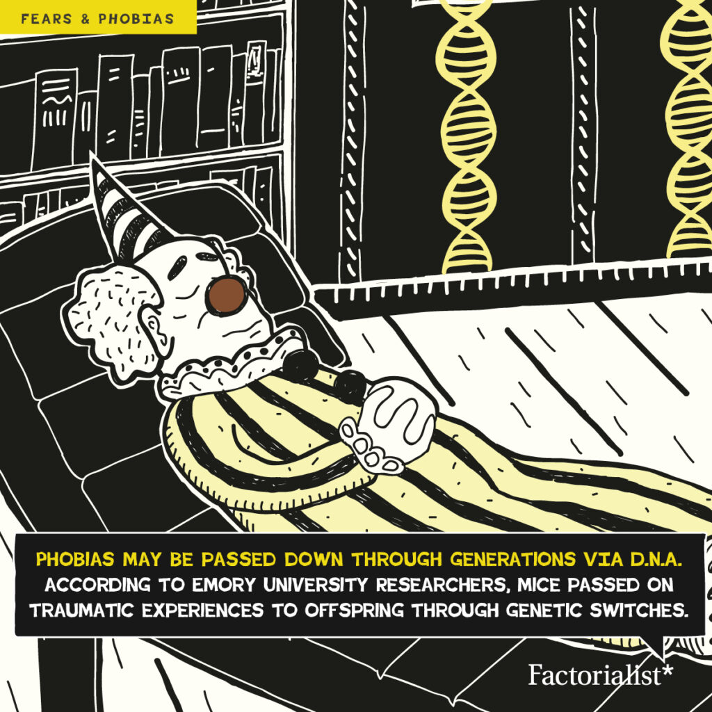 factorialist_Phobia_defactos6