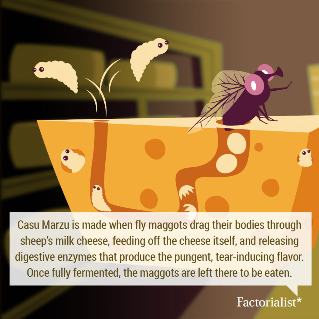 factorialist_festering_defactos_White2