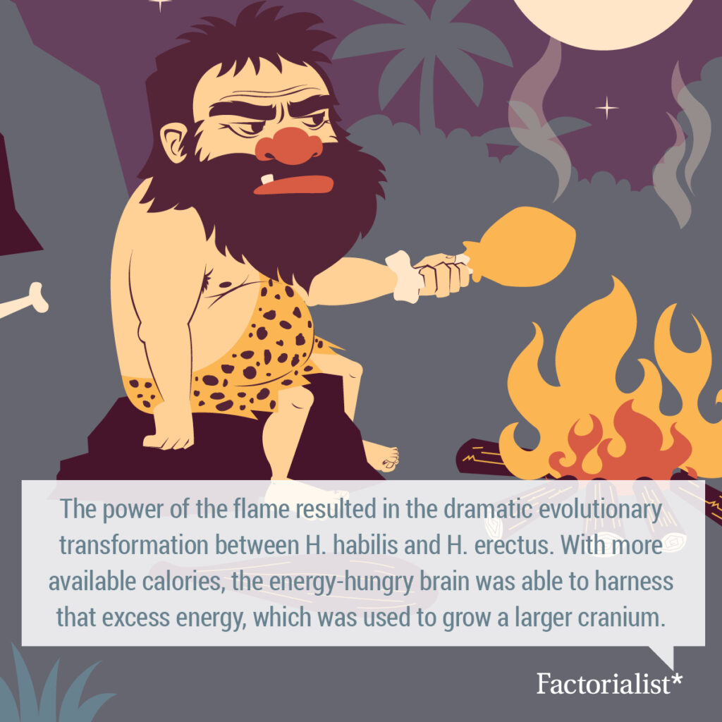 factorialist_festering_defactos_White7