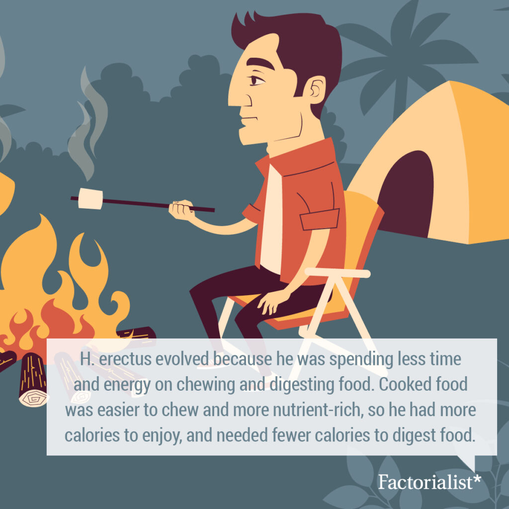 factorialist_festering_defactos_White8