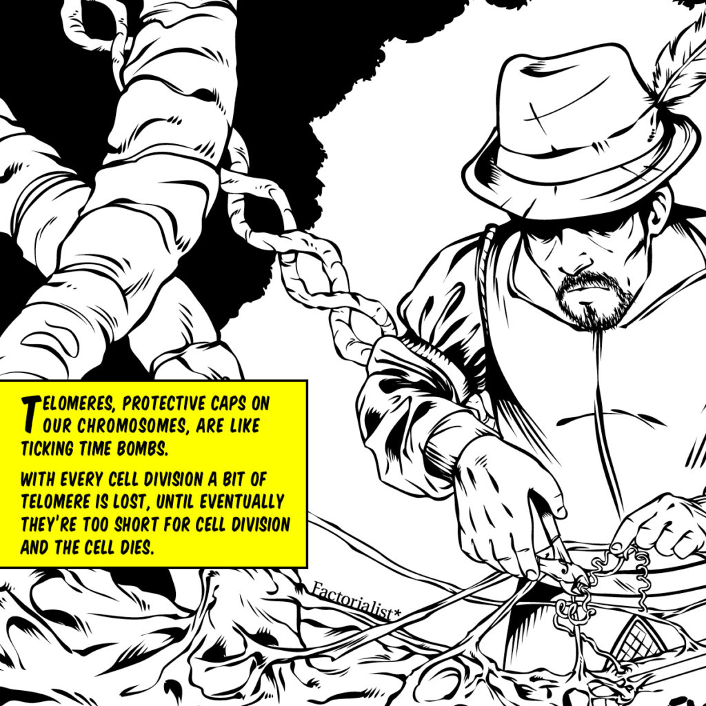 factorialist_immortality_defactos5