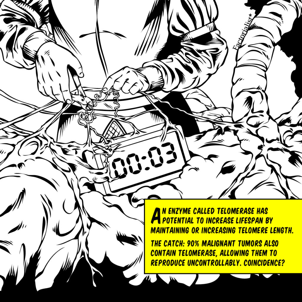 factorialist_immortality_defactos6